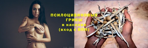 твердый Кинешма