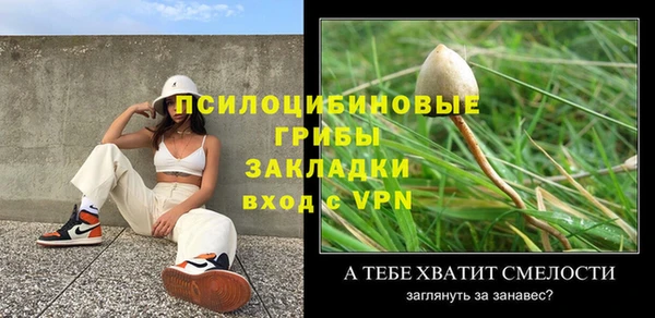твердый Кинешма